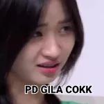 stiker chateez