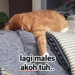  Kamu kenapa sih?