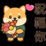 可愛柴犬⭐日常實用貼
