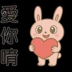 可愛粉紅兔⭐日常實用貼