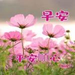 早安愉快🌹🌹🌹平平安安才是福🧧