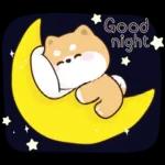 30 Comp Bay Matktrik 43M Diminum dulu biar tenang