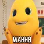 HAAA?