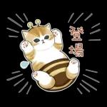 早晨☀️☀️☀️新嘅一天開始啦💗