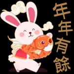 年年有余 恭喜发财🎉