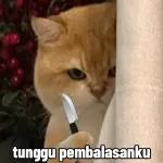 👉👈