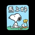 一隻黃色懶貓 x Snoopy