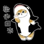 鲨鱼合金