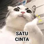 BEGITU LUCU ～
