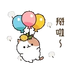 早晨☀️☀️☀️新嘅一天開始啦💗