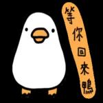 白白的購物鴨🦆 