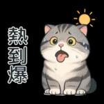 貓系列(4)-灰色虎斑貓