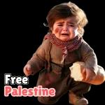                              Free Palestine TOP STICKERS