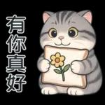 貓系列(4)-灰色虎斑貓