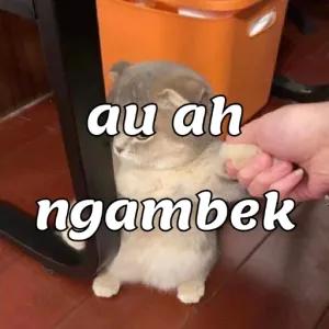 IVbd7q