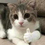 對生活說OK～～～～