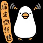 白白的購物鴨🦆 