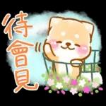 台風天要注意安全啊 🌀