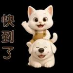 可愛白貓⭐ 日常實用