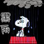 多雨天气11111111