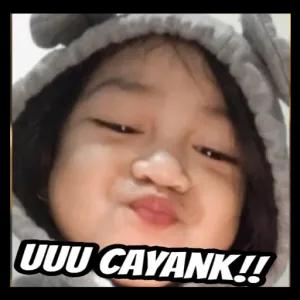 okoPOv