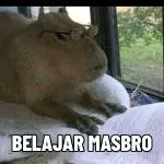 tolol