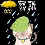 多雨天气11111111