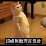 日常百貨