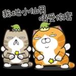 lan-lan-cat-17