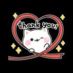 善解人意的貓貓