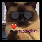 Sarangbeo