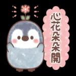 🦭暖心小棉襖🐧 