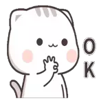 「甜蜜日常 🌼🌟」