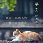 早安愉快🌹🌹🌹平平安安才是福🧧