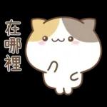 可愛貓貓❤貼心日常❤7