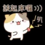 可愛貓貓❤貼心日常❤7