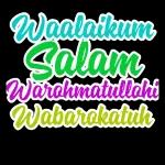 MISS Z OKEY zalfa Natural K