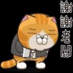 希望新的一年願望成真！！🙏🙏