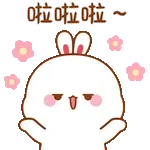 兔几全螢幕貼圖