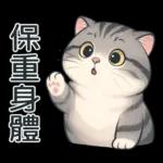 貓系列(4)-灰色虎斑貓