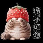 唔好問我，我乜嘢都唔知