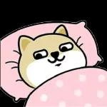 ⏰~今日福利已送到❗️🔥爆款貼紙，火熱來襲🔥