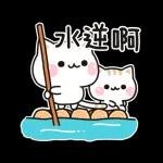 善解人意的貓貓