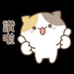 可愛貓貓❤貼心日常❤7