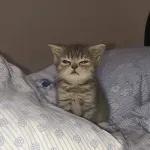 KRAS KRUS KRAS KRUS
NILAI LU NOH JELEK