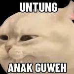 00196free tiket forSLEEP CALL961004with meJust talk to me about anything-I'm so fuckin lonly-