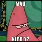 Damai broh