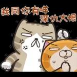 我已經累了，想瞓覺😴