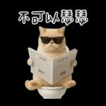 廁所貓貓✩別吵!我在用力✩