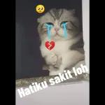 bobok dulu03:00CHUPS